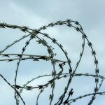 Pelayanan Bea Cukai Pasamanbarat dalam Era Digital