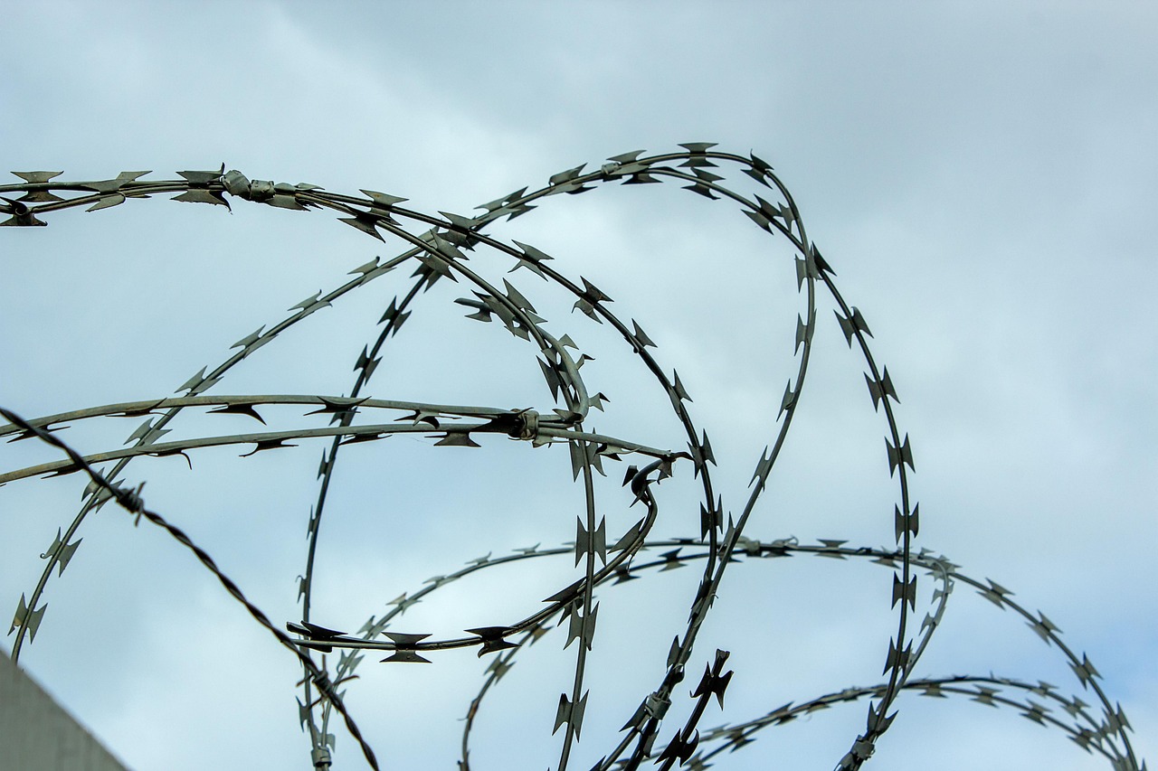 Pelayanan Bea Cukai Pasamanbarat dalam Era Digital